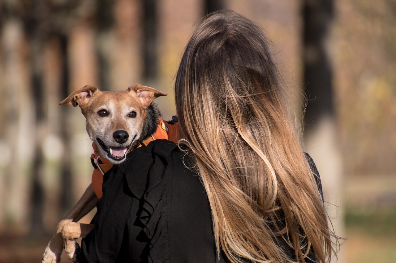 Dog with owner happily playing